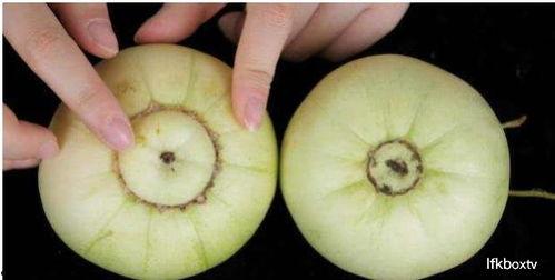 吃瓜口挑口味  第3张